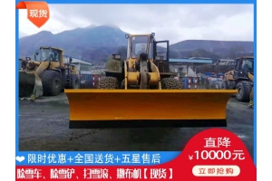 汽车清雪车 扫雪汽车什么价格