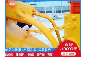 杨雪车哪家便宜 除雪刷到哪买